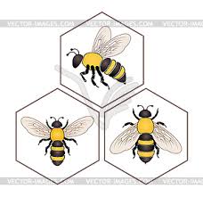 Wildlife biene clipart free download! Biene Auf Honigzellen Vector Clipart Vektor Bild