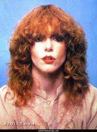 1970s Hairstyles For Curly Hair 70s Hair 1970s Hairstyles 70s Hair And Makeup