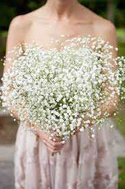 Baby Breath Bouquet Price Limited Time Offer Aksharaconsultancy Com