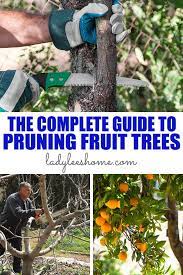 Go and have a good look at your tree before you wield the pruners. The Complete Guide To Pruning Fruit Trees Lady Lee S Home