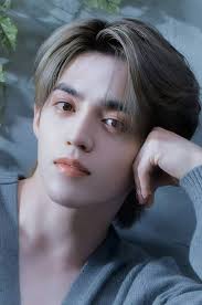 WHO IS YOUR BIAS🤗 ?CAN I KNOW AND WHY ?☺️☺️ #SEVENTEEN17_OFFICIAL  #followforfollowback #follower