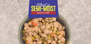 Especially for travel, since after all, they come in individual servings. Semi Moist Dog Food What It Is How It Compares And Best Brands