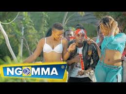 Siku 10 za maangamizi:fid q na young killer kwenye dakika 10 za maangamizi. H Chriss Ft Coyo Mc Hatujielewi Official Video