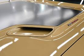 Image result for Gold 1972 Challenger