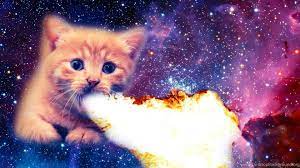 If you have your own one just send us the image and we will show it on the web site. Fire Cats Wallpapers Wallpaper Cave