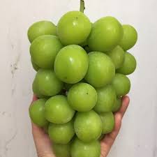 Viewing tweets won't unblock @nho. Nho Sá»¯a Han Quá»'c Hoa Quáº£ Nháº­p Kháº©u Biovegi