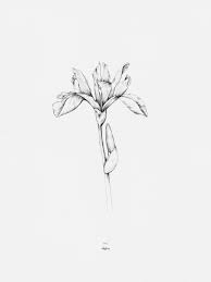 A4 Posters Iris Iris Tattoo Iris Flower Tattoo Birth Flower Tattoos