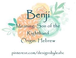 Baby Boy Name Benji Meaning Son Of The Righthand Origin Hebrew Nicknames Ben Benny Benj Trendy Baby Boy Names Baby Boy Names Meaningful Baby Names