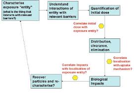 Flow Chart Of Research Topics Download Scientific Diagram