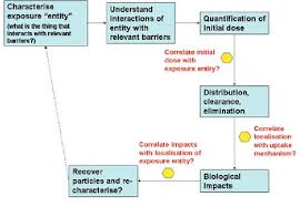 flow chart of research topics download scientific diagram