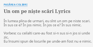 Pasarea Colibri Eu Sunt Un Om Pe Niste Scari