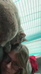 jasmine Wester (@jwesterr)