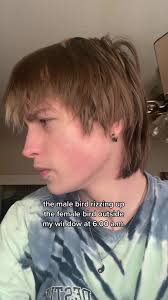 That Bird Has Too Much Rizz