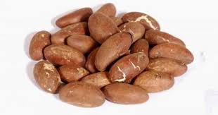 Bitter Kola Nut Benefits Nut Benefits Garcinia Bitter