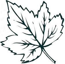Pack these spring printables into a picnic basket for a family outing. Leaf Coloring Page For Kid Crafts And Worksheets For Preschool Toddler And Kindergarten