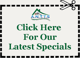 We found where they are most likely coming in from the outside and they told me how to seal it off and gave me some really effective, but safe traps (for free). Westlake Trophy Club Tx Exterminator Pest And Termite Control Services A North Texas Termite Specialist A N T T S Dallas Fort Worth Pest Control
