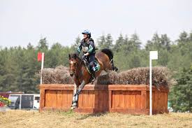Quel site accueillera les épreuves ? Pourquoi Lamotte Beuvron Continue De Tenir Tete A Versailles Pour Les Epreuves D Equitation Des Jo 2024 Orleans 45000