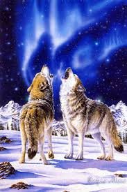 Find gifs with the latest and newest hashtags! Wolves Gif Download Share On Phoneky