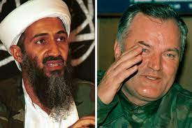 Questions about Ratko Mladic | Salon.com