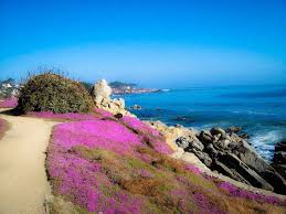 Monterey institute for research in astronomy event page. Monterey Bay Coastal Recreation Trail Great Runs