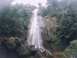 ) (policy implementation strategy of community plantation forest. 45 Tempat Wisata Di Pandeglang Paling Hits Wajib Dikunjungi Saat Libur