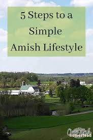 But they do not affect the opinions and recomm. 5 Steps To A Simple Amish Lifestyle One Ash Homestead