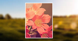 Marlene Kavonius Obituary 2022