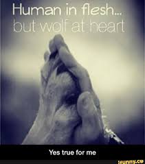 Truth Wolf Quotes Wolf Spirit Animal Lone Wolf Quotes