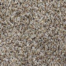 One of stanton carpet's most recommended residential carpet, aspire concept by retains its color and displays good resistance to indirect sunlight and fading. Stainmaster Petprotect Concord Mystical Charm Textured Carpet Indoor In The Carpet Department At Lowes Com