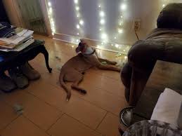 What happens mid air with the ball? Harry potter around?