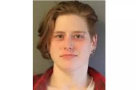 Vestal Woman Charged After Missing Girls Are Found