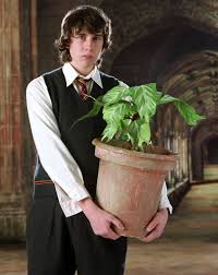 Maybe you would like to learn more about one of these? Wizarding World On Twitter We Guessed The Jobs Harry Potter Characters Would Have In A Non Magical World Do You Agree Https T Co Hiomfmlaot