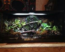 Pin Van Rafal Gawronski Op Tank Idea