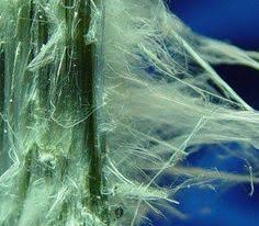 For instance, asbestos is one of the leading causes of cancer called mesothelioma. 23 Asbestos Images Videos Asbestos Mesothelioma Cancer