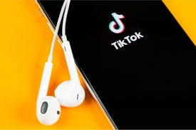 How Much Do Tiktok Biddable Ads Cost Jungletopp