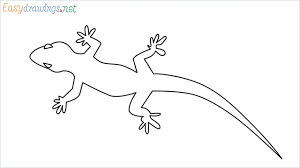 We did not find results for: How To Draw A Lizard Step By Step 7 Easy Phase