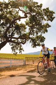 All The Outdoor Activities Los Angeles People Need To Do This Summer Pronto In 2020 Outdoor Activities Places To See Los Angeles