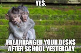 Teacher Humor 17 Teacher Humor Teaching Humor Teaching Memes