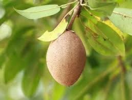 Epingle Sur Bienfaits De La Nature