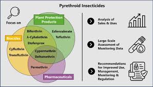 Image result for Pyrethroid