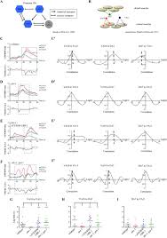 The Ubr 1 Ubiquitin Ligase Regulates Glutamate Metabolism To