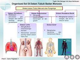 More images for bab 2 sains tingkatan 4 » Download Nota Sains Tingkatan 2 Yang Bernilai Untuk Para Guru Cetakkan Pendidikan Abad Ke 21