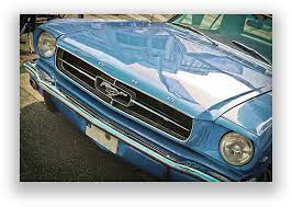 If there is a particular classic car, muscle car or performance car you are. Home Classic Cars Used Cars For Sale In Tampa Fl