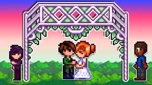 How do i activate the stardew valley console commands? Robin Got A Divorce Stardew Valley Youtube