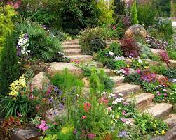 epingle par jennifer indorf sur landscaping plante rocaille jardin de rocaille comment amenager son jardin