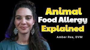 Ask the Vet: Pet Food and Nutrition with Dr. Lisa Weeth