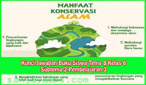 Kunci Jawaban Tema 8 Kelas 6 Halaman 71 73 75 Buku Belajar Konservasi