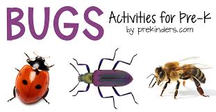 See more ideas about insects preschool, bugs preschool, preschool. Bugs Theme Prekinders