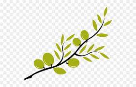 5 out of 5 stars (45) $ 1.99. Olive Branch Petition Olive Branch Petition Free Transparent Png Clipart Images Download