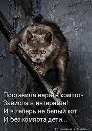 Фото юмор - юмор приколы фото, юмор фото картинки – ФотоКто